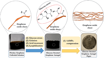 Graphical abstract: Mechanically robust glucose strutted graphene aerogel paper as a flexible electrode