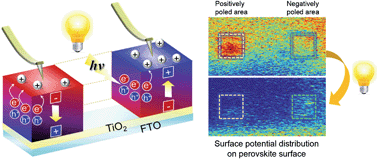Graphical abstract: Screening effect on photovoltaic performance in ferroelectric CH3NH3PbI3 perovskite thin films