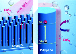 Graphical abstract: An integrated cobalt disulfide (CoS2) co-catalyst passivation layer on silicon microwires for photoelectrochemical hydrogen evolution