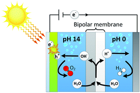 Graphical abstract: Photo-assisted water splitting with bipolar membrane induced pH gradients for practical solar fuel devices