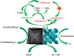 Graphical abstract: MxCo3−xO4 (M = Co, Mn, Fe) porous nanocages derived from metal–organic frameworks as efficient water oxidation catalysts