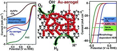 Graphical abstract: Gold aerogel supported on graphitic carbon nitride: an efficient electrocatalyst for oxygen reduction reaction and hydrogen evolution reaction