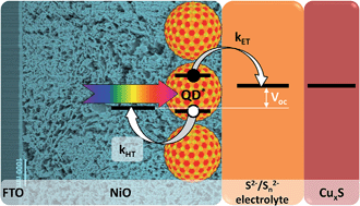 Graphical abstract: Efficient eco-friendly inverted quantum dot sensitized solar cells