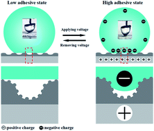 Graphical abstract: In situ electric-driven reversible switching of water-droplet adhesion on a superhydrophobic surface
