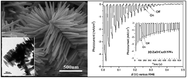 Graphical abstract: A novel 3D ZnO/Cu2O nanowire photocathode material with highly efficient photoelectrocatalytic performance