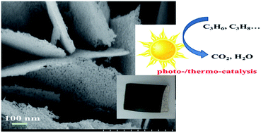 Graphical abstract: Ultrathin mesoporous Co3O4 nanosheets with excellent photo-/thermo-catalytic activity