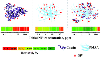 Graphical abstract: Biomimic hybrid polymer networks based on casein and poly(methacrylic acid). Case study: Ni2+ removal