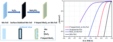 Graphical abstract: P doped molybdenum dioxide on Mo foil with high electrocatalytic activity for the hydrogen evolution reaction