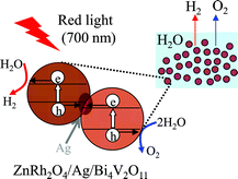 Graphical abstract: A silver-inserted zinc rhodium oxide and bismuth vanadium oxide heterojunction photocatalyst for overall pure-water splitting under red light