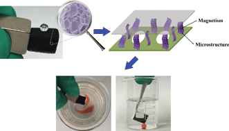 Graphical abstract: Hybrid-dimensional magnetic microstructure based 3D substrates for remote controllable and ultrafast water remediation