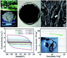 Graphical abstract: Hierarchical porous carbon microtubes derived from willow catkins for supercapacitor applications