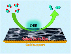 Graphical abstract: Direct electrochemical formation of nanostructured amorphous Co(OH)2 on gold electrodes with enhanced activity for the oxygen evolution reaction