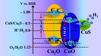 Graphical abstract: A highly stable CuS and CuS–Pt modified Cu2O/CuO heterostructure as an efficient photocathode for the hydrogen evolution reaction