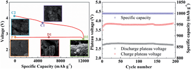 Graphical abstract: N-doped onion-like carbon as an efficient oxygen electrode for long-life Li–O2 battery