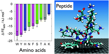 Graphical abstract: What makes a good graphene-binding peptide? Adsorption of amino acids and peptides at aqueous graphene interfaces