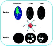 Graphical abstract: Magneto-fluorescent nanoparticles with high-intensity NIR emission, T1- and T2-weighted MR for multimodal specific tumor imaging