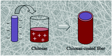 Graphical abstract: Chitosan-coated electrospun nanofibers with antibacterial activity