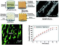 Graphical abstract: A biomimetic 3D microtubule-orientated poly(lactide-co-glycolide) scaffold with interconnected pores for tissue engineering