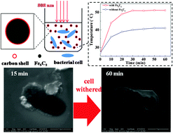 Graphical abstract: Fe5C2 nanoparticles: a reusable bactericidal material with photothermal effects under near-infrared irradiation
