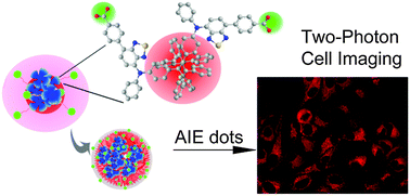 Graphical abstract: Preparation of aggregation-induced emission dots for long-term two-photon cell imaging