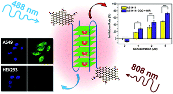 Graphical abstract: A two-component active targeting theranostic agent based on graphene quantum dots