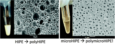 Graphical abstract: Modified chitosan emulsifiers: small compositional changes produce vastly different high internal phase emulsion types