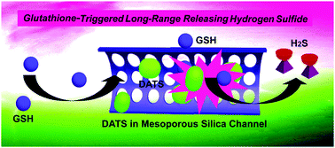 Graphical abstract: Mesoporous silica nanoparticles for glutathione-triggered long-range and stable release of hydrogen sulfide