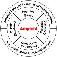 Graphical abstract: Amyloid-directed assembly of nanostructures and functional devices for bionanoelectronics