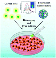 Graphical abstract: Ultrastable green fluorescence carbon dots with a high quantum yield for bioimaging and use as theranostic carriers