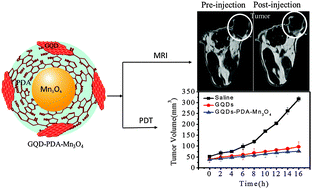 Graphical abstract: Ternary graphene quantum dot–polydopamine–Mn3O4 nanoparticles for optical imaging guided photodynamic therapy and T1-weighted magnetic resonance imaging