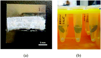 Graphical abstract: Diffusion properties of inkjet printed ionic self-assembling polyelectrolyte hydrogels