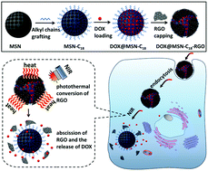 Graphical abstract: Noncovalent assembly of reduced graphene oxide and alkyl-grafted mesoporous silica: an effective drug carrier for near-infrared light-responsive controlled drug release