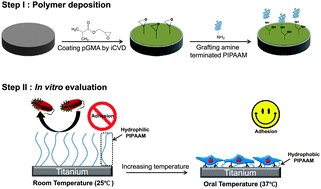 Graphical abstract: Biofunctionalized titanium with anti-fouling resistance by grafting thermo-responsive polymer brushes for the prevention of peri-implantitis