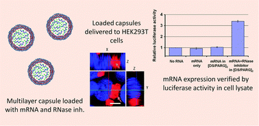 Graphical abstract: Layered polymeric capsules inhibiting the activity of RNases for intracellular delivery of messenger RNA