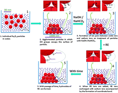 Graphical abstract: Radiolanthanide-loaded agglomerated Fe3O4 nanoparticles for possible use in the treatment of arthritis: formulation, characterization and evaluation in rats