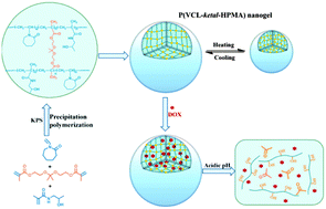 Graphical abstract: Acid degradable poly(vinylcaprolactam)-based nanogels with ketal linkages for drug delivery