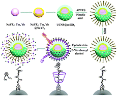 Graphical abstract: NIR light responsive core–shell nanocontainers for drug delivery
