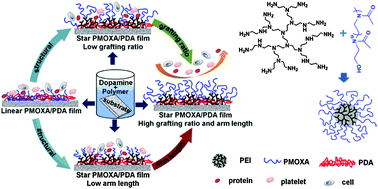 Graphical abstract: Star-shaped poly(2-methyl-2-oxazoline)-based films: rapid preparation and effects of polymer architecture on antifouling properties
