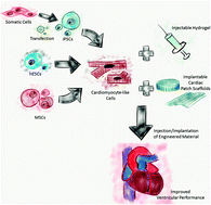 Graphical abstract: The role of tissue engineering in cellular therapies for myocardial infarction: a review