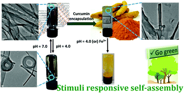 Graphical abstract: Stimuli responsive hydrogels derived from a renewable resource: synthesis, self-assembly in water and application in drug delivery