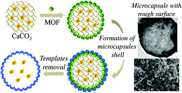 Graphical abstract: MOF-templated rough, ultrathin inorganic microcapsules for enzyme immobilization