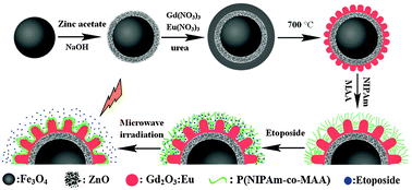 Graphical abstract: A novel microwave stimulus remote controlled anticancer drug release system based on Fe3O4@ZnO@mGd2O3:Eu@P(NIPAm-co-MAA) multifunctional nanocarriers