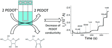 Graphical abstract: A simple all-PEDOT:PSS electrochemical transistor for ascorbic acid sensing