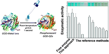 Graphical abstract: Glucose oxidase-directed, instant synthesis of Mn-doped ZnS quantum dots in neutral media with retained enzymatic activity: mechanistic study and biosensing application
