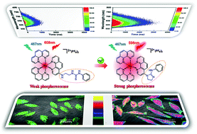 Graphical abstract: Design and application of a water-soluble phosphorescent Ru(ii) complex as turn-on sensing material for Hg2+