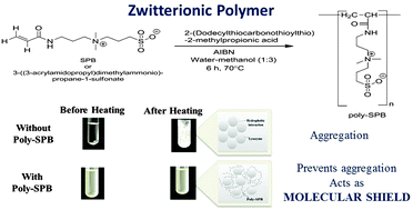Graphical abstract: A zwitterionic polymer as a novel inhibitor of protein aggregation
