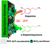 Graphical abstract: A three dimensional Pt nanodendrite/graphene/MnO2 nanoflower modified electrode for the sensitive and selective detection of dopamine