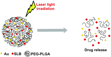 Graphical abstract: Laser light triggered smart release of silibinin from a PEGylated–PLGA gold nanocomposite