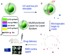 Graphical abstract: Supermolecular theranostic capsules for pH-sensitive magnetic resonance imaging and multi-responsive drug delivery