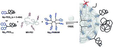 Graphical abstract: Effects of the molecular weight and the valency of guest-modified poly(ethylene glycol)s on the stability, size and dynamics of supramolecular nanoparticles